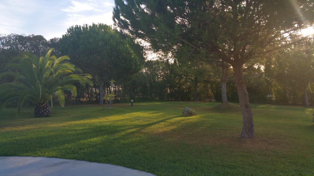 Apartamentos Clube Da Bemposta Alvor Værelse billede
